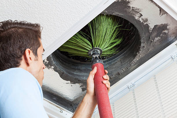 Best Ductwork Cleaning Services  in Bertville, AL