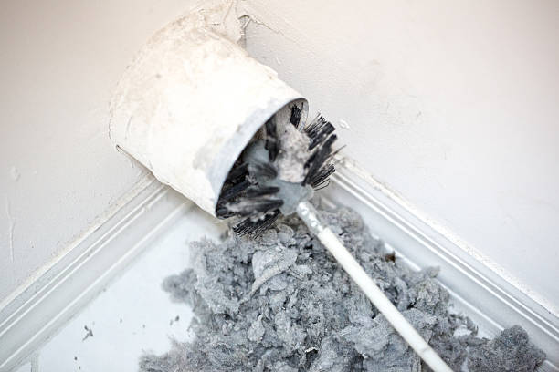 Best Dryer Vent Cleaning Services  in Bertville, AL